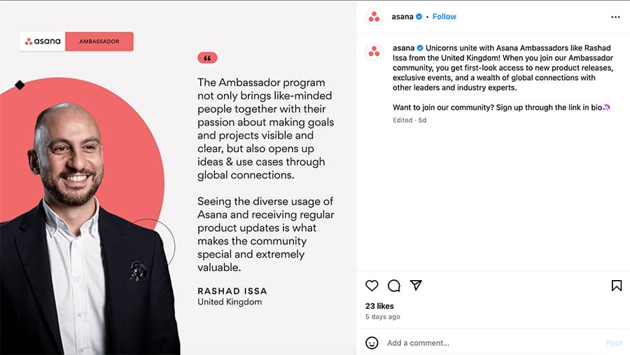 reviews contenido efectivo instagram