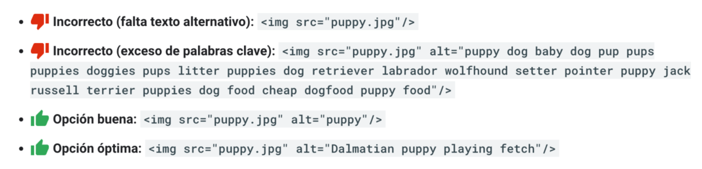 ejemplos incorrectos correctos de atributo alt segun Google ejemplos de buenos y malos atributos alt