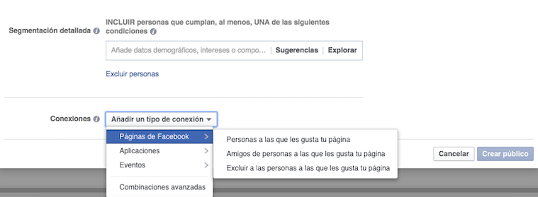Segmentación detallada_Conexiones Segmentación detallada_Conexiones