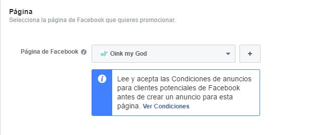 Facebook Lead Ads. Seleccionar Página de Empresa Campaña de Facebook Lead Ads. Seleccionar Página de Empresa