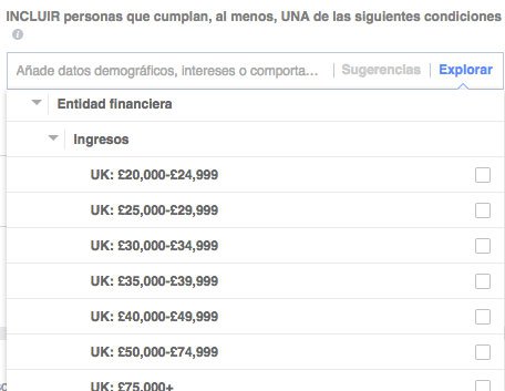 Trucos para optimizar campañas en Facebook Ads - Segmentar audiencia por ingresos anuales