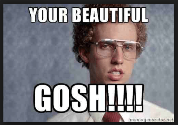 la estética del meme