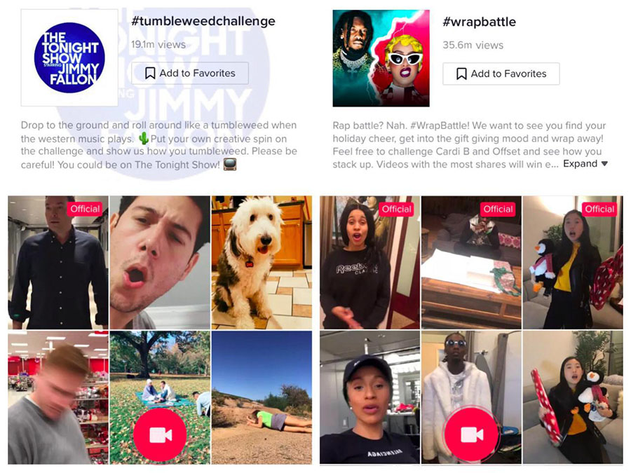 ejemplo anuncio hashtag challenge publicidad tiktok ads