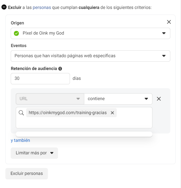audiencia url especifica retarteging meta ads