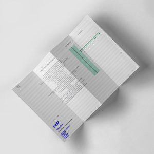 Plantilla Evaluación Técnica para la Red de Búsqueda