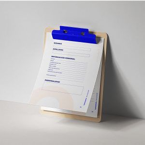 buyer persona plantilla editable