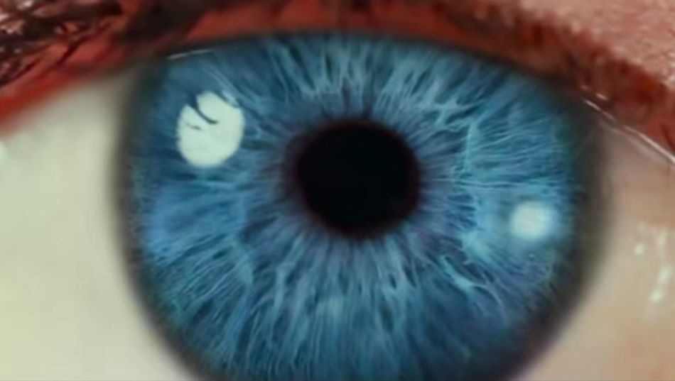 the social dilemma documental ojo