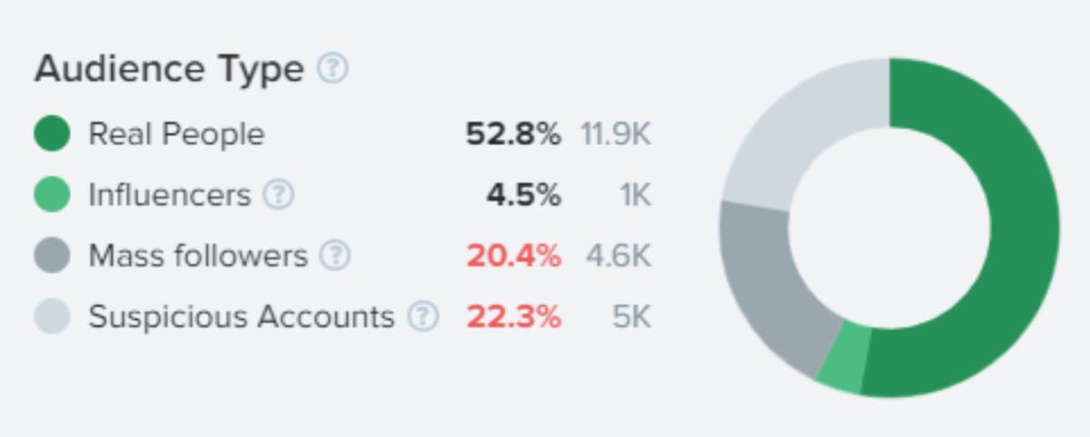 HypeAuditor tipo de audiencia