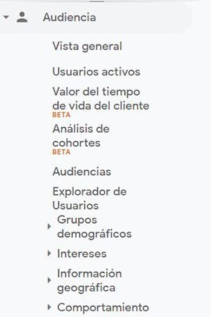 menu audiencia google analytics