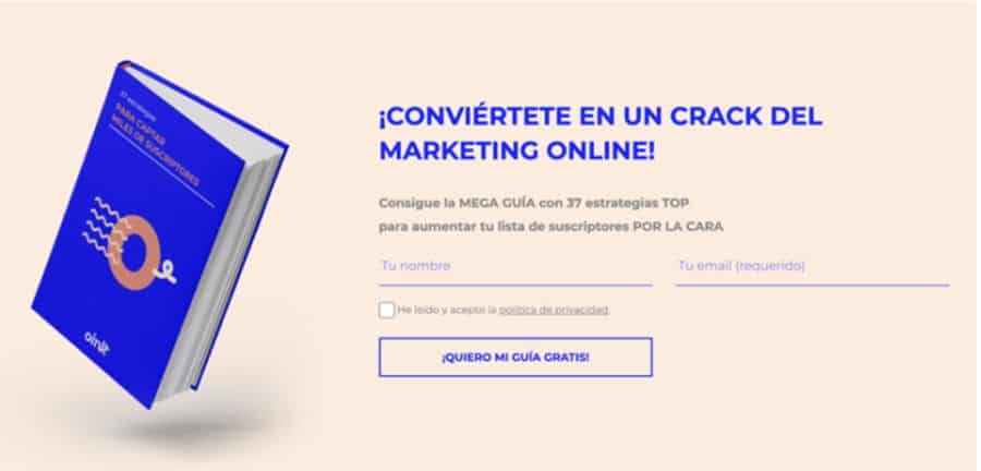cta formulario newsletter con lead magnet