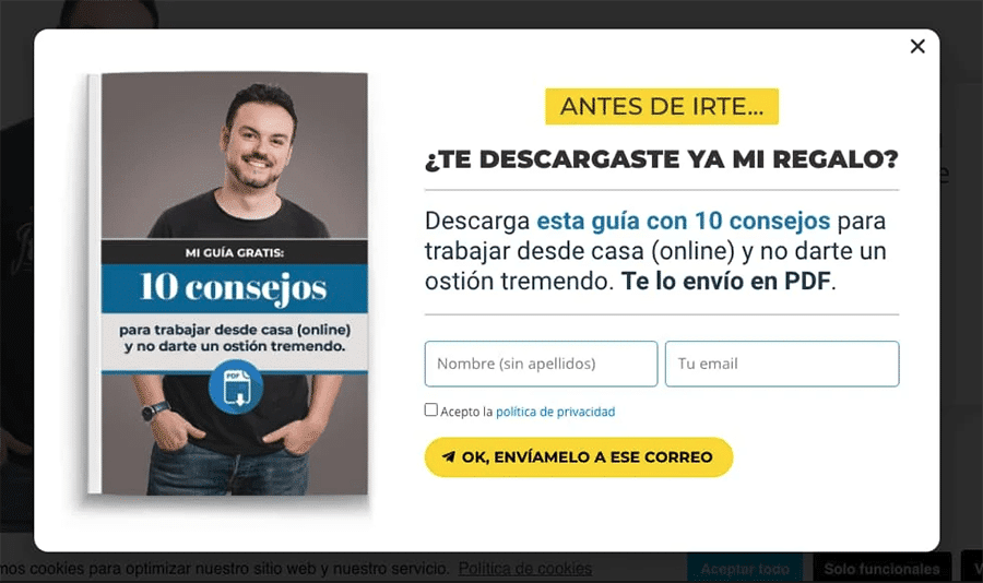 ejemplo lead magnet copywriting