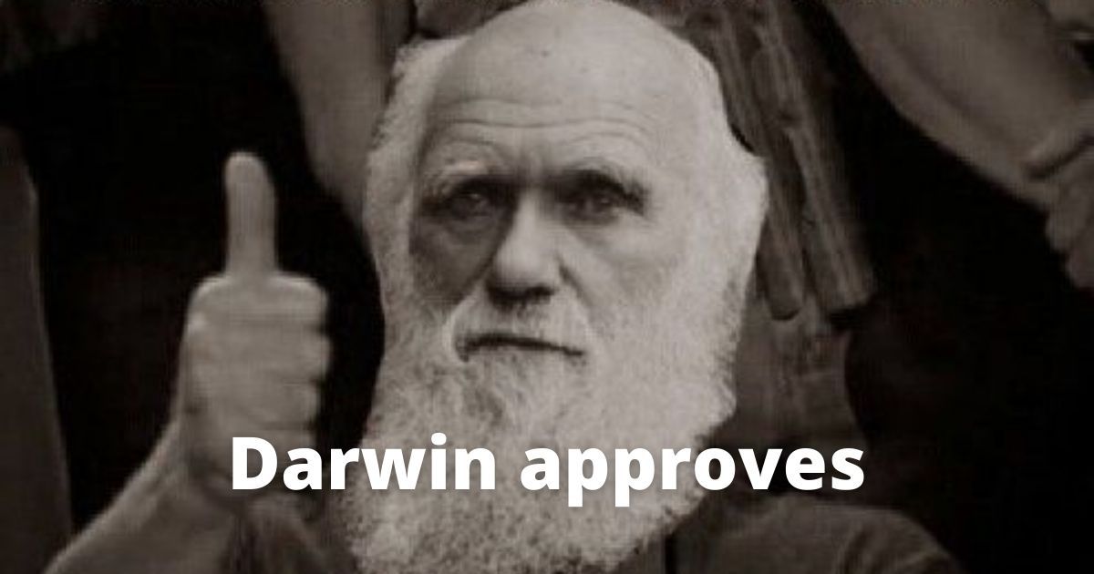 sistema de recompensa darwin sistema de recompensa y evolución