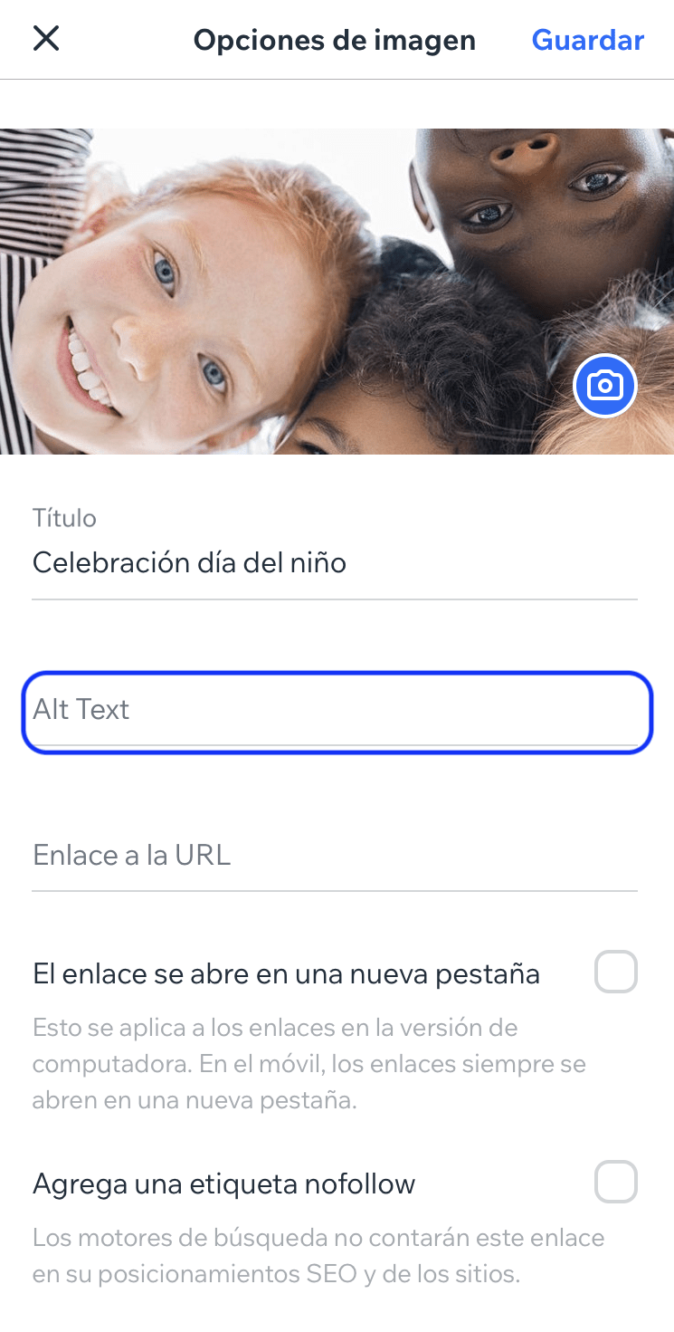 Modelo de texto alternativo en un CMS