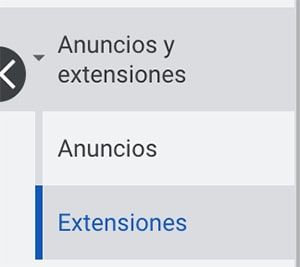 menu extensiones google ads