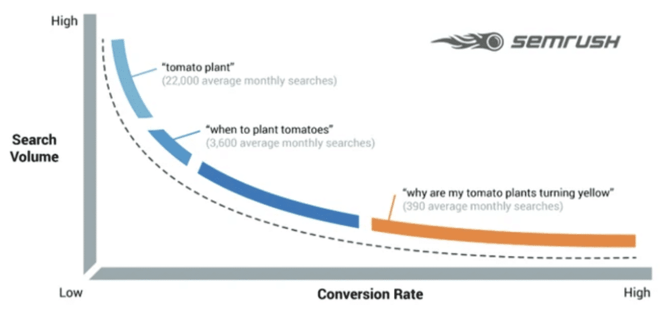 palabra clave de cola larga