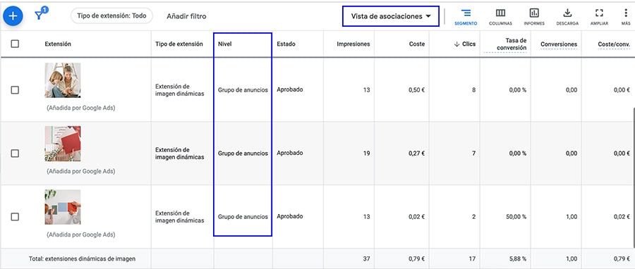vista de asociaciones google ads