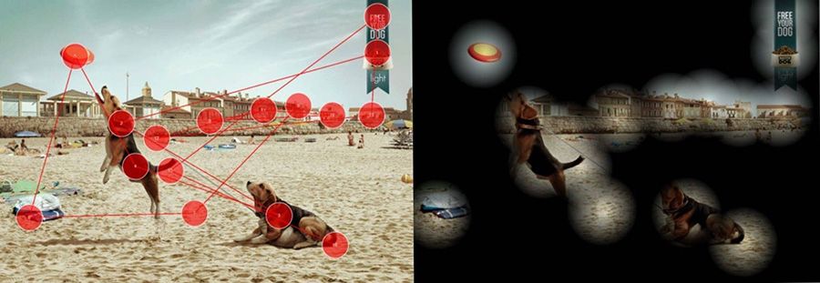 mapas de recorrido visual y de opacidad neuromarketing mapas de recorrido visual y de opacidad neuromarketing