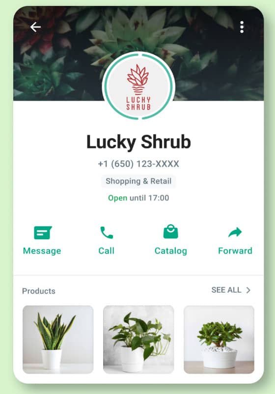 whatsapp business perfil whatsapp business perfil