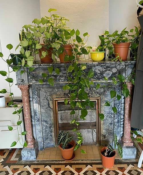 plantas oficina oink