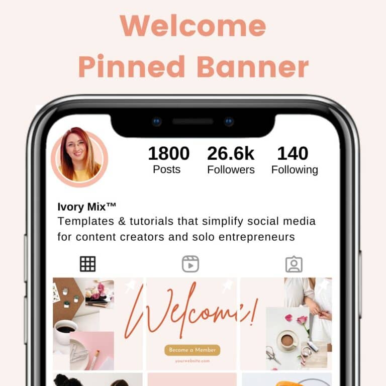 ejemplo posts fijados instagram header dividido