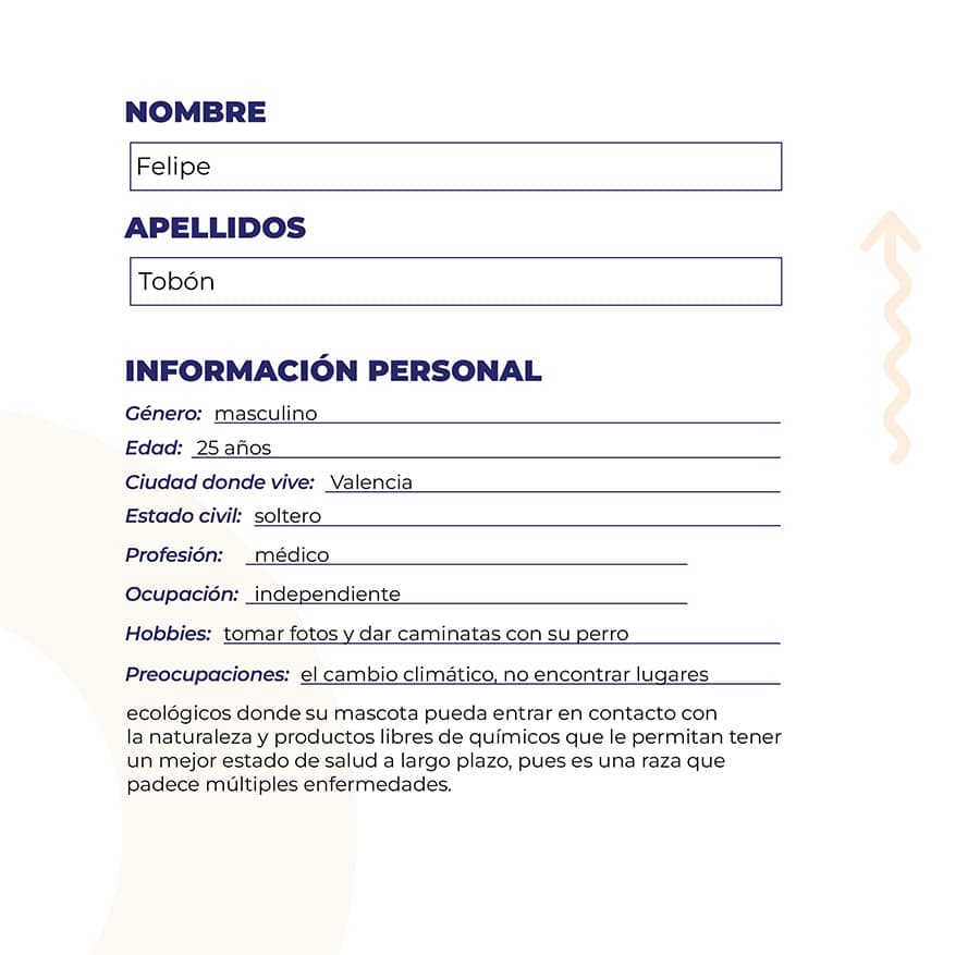 ejemplo buyer persona ejemplo buyer persona
