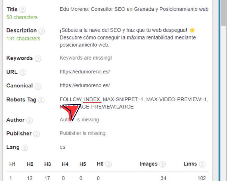 Ver etiqueta meta robots con SEO META 1 CLIC